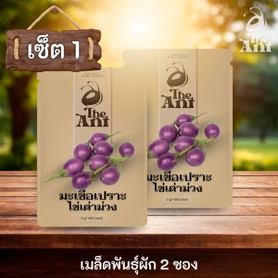 ( ซื้อ 1 แถม 1 ) เมล็ดพันธุ์มะเขือเปราะไข่เต่าม่วง