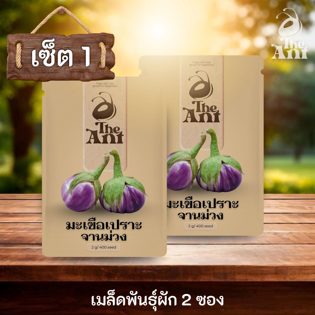 ( ซื้อ 1 แถม 1 ) เมล็ดพันธุ์มะเขือเปราะจานม่วง