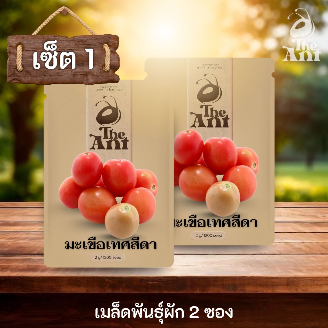 ( ซื้อ 1 แถม 1 ) เมล็ดพันธุ์มะเขือเทศสีดา
