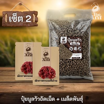 ชุดเซตปลูกผัก เมล็ดพันธุ์ผักกาดหอมสีม่วง 2 ซอง คู่ปุ๋ยมูลวัวอัดเม็ด 1 กก. - พืชโตไว ปลอดภัย ไร้กลิ่น