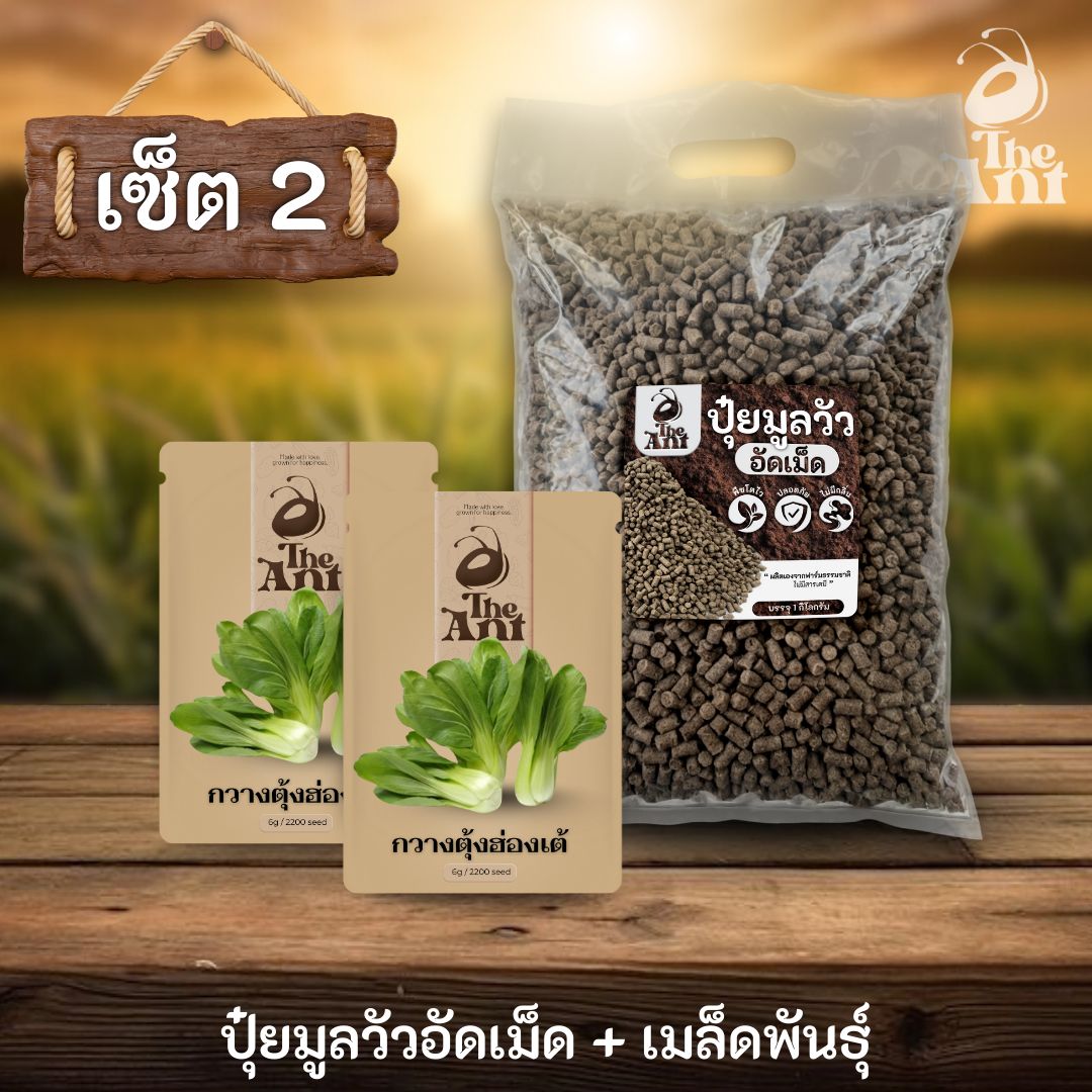 ชุดเซตปลูกผัก เมล็ดพันธุ์กวางตุ้งฮ่องเต้ 2 ซอง คู่ปุ๋ยมูลวัวอัดเม็ด 1 กก. - พืชโตไว ปลอดภัย ไร้กลิ่น