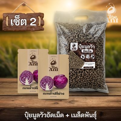 ชุดเซตปลูกผัก เมล็ดพันธุ์กะหล่ำปลีสีม่วง 2 ซอง คู่ปุ๋ยมูลวัวอัดเม็ด 1 กก. - พืชโตไว ปลอดภัย ไร้กลิ่น