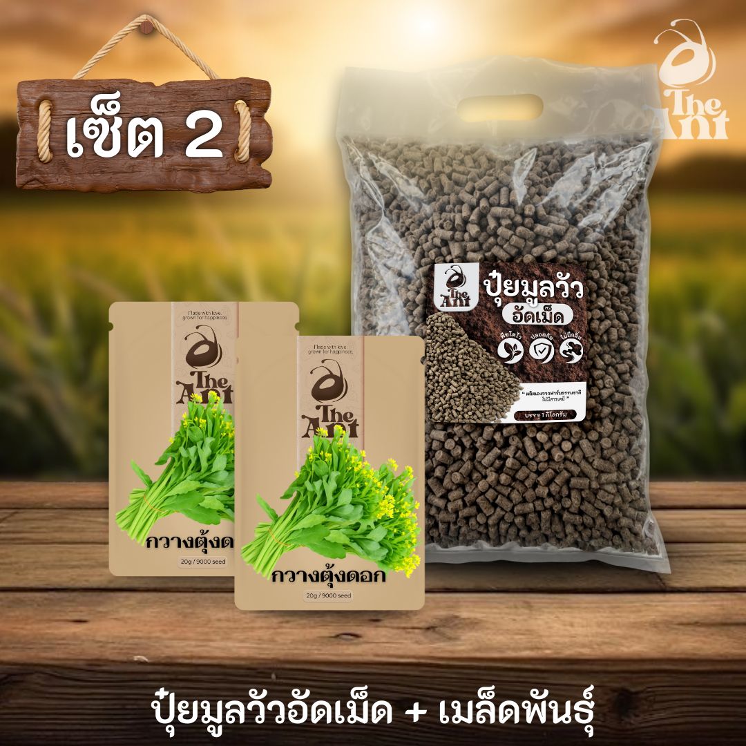 ชุดเซตปลูกผัก เมล็ดพันธุ์กวางตุ้งดอก 2 ซอง คู่ปุ๋ยมูลวัวอัดเม็ด 1 กก. - พืชโตไว ปลอดภัย ไร้กลิ่น