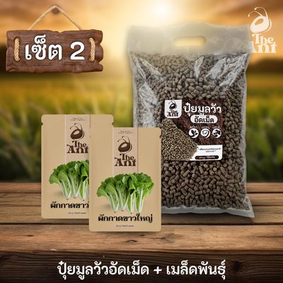 ชุดเซตปลูกผัก เมล็ดพันธุ์ผักกาดขาวใหญ่ 2 ซอง คู่ปุ๋ยมูลวัวอัดเม็ด 1 กก. - พืชโตไว ปลอดภัย ไร้กลิ่น