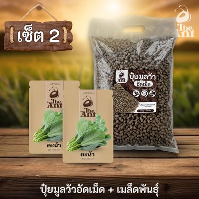 ชุดเซตปลูกผัก เมล็ดพันธุ์คะน้า 2 ซอง คู่ปุ๋ยมูลวัวอัดเม็ด 1 กก. - พืชโตไว ปลอดภัย ไร้กลิ่น
