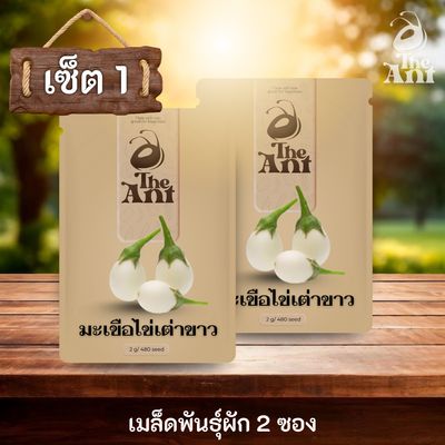 ( ซื้อ 1 แถม 1 ) เมล็ดพันธุ์มะเขือไข่เต่าขาว