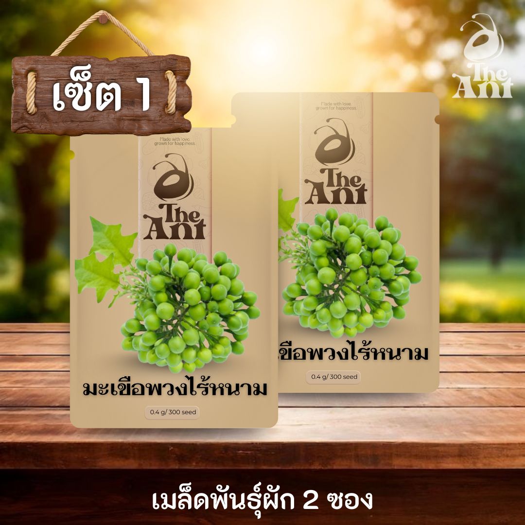 ( ซื้อ 1 แถม 1 ) เมล็ดพันธุ์มะเขือพวงไร้หนาม