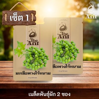 ( ซื้อ 1 แถม 1 ) เมล็ดพันธุ์มะเขือพวงไร้หนาม