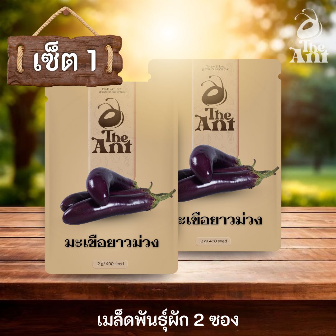 ( ซื้อ 1 แถม 1 ) เมล็ดพันธุ์มะเขือยาวม่วง
