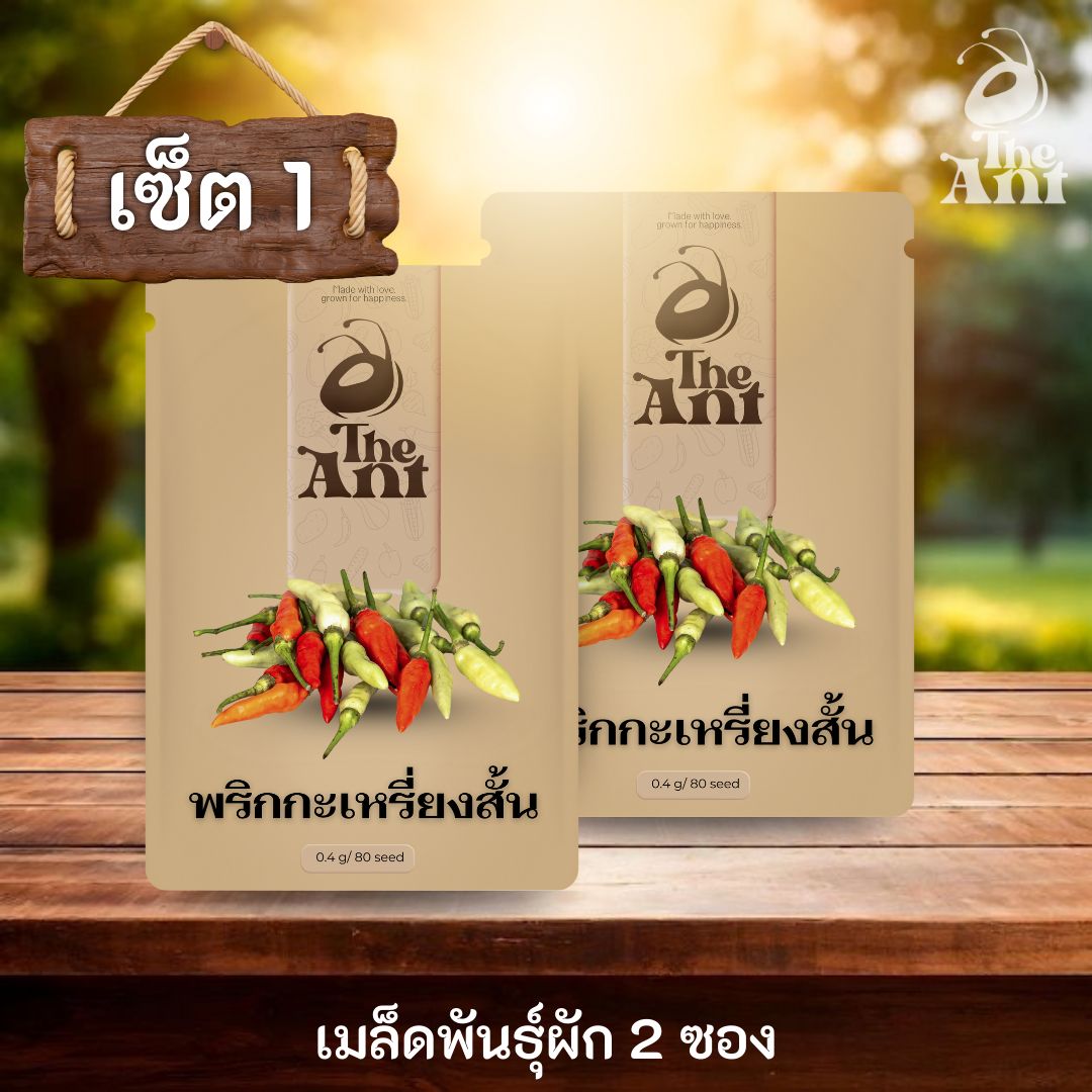 ( ซื้อ 1 แถม 1 ) เมล็ดพันธุ์พริกกระเหรี่ยงสั้น