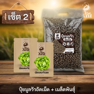 ชุดเซตปลูกผัก เมล็ดพันธุ์บัตเตอร์เฮด 2 ซอง คู่ปุ๋ยมูลวัวอัดเม็ด 1 กก. - พืชโตไว ปลอดภัย ไร้กลิ่น
