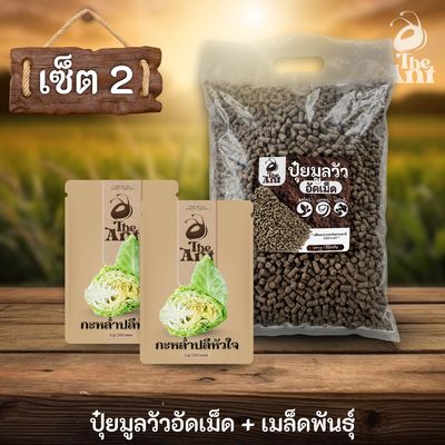 ชุดเซตปลูกผัก เมล็ดพันธุ์กะหล่ำปลีหัวใจ 2 ซอง คู่ปุ๋ยมูลวัวอัดเม็ด 1 กก. - พืชโตไว ปลอดภัย ไร้กลิ่น