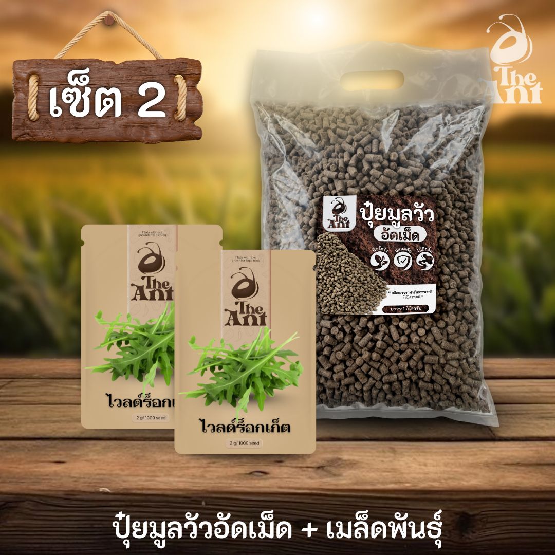 ชุดเซตปลูกผัก เมล็ดพันธุ์ไวลด์ร็อกเก็ต 2 ซอง คู่ปุ๋ยมูลวัวอัดเม็ด 1 กก. - พืชโตไว ปลอดภัย ไร้กลิ่น