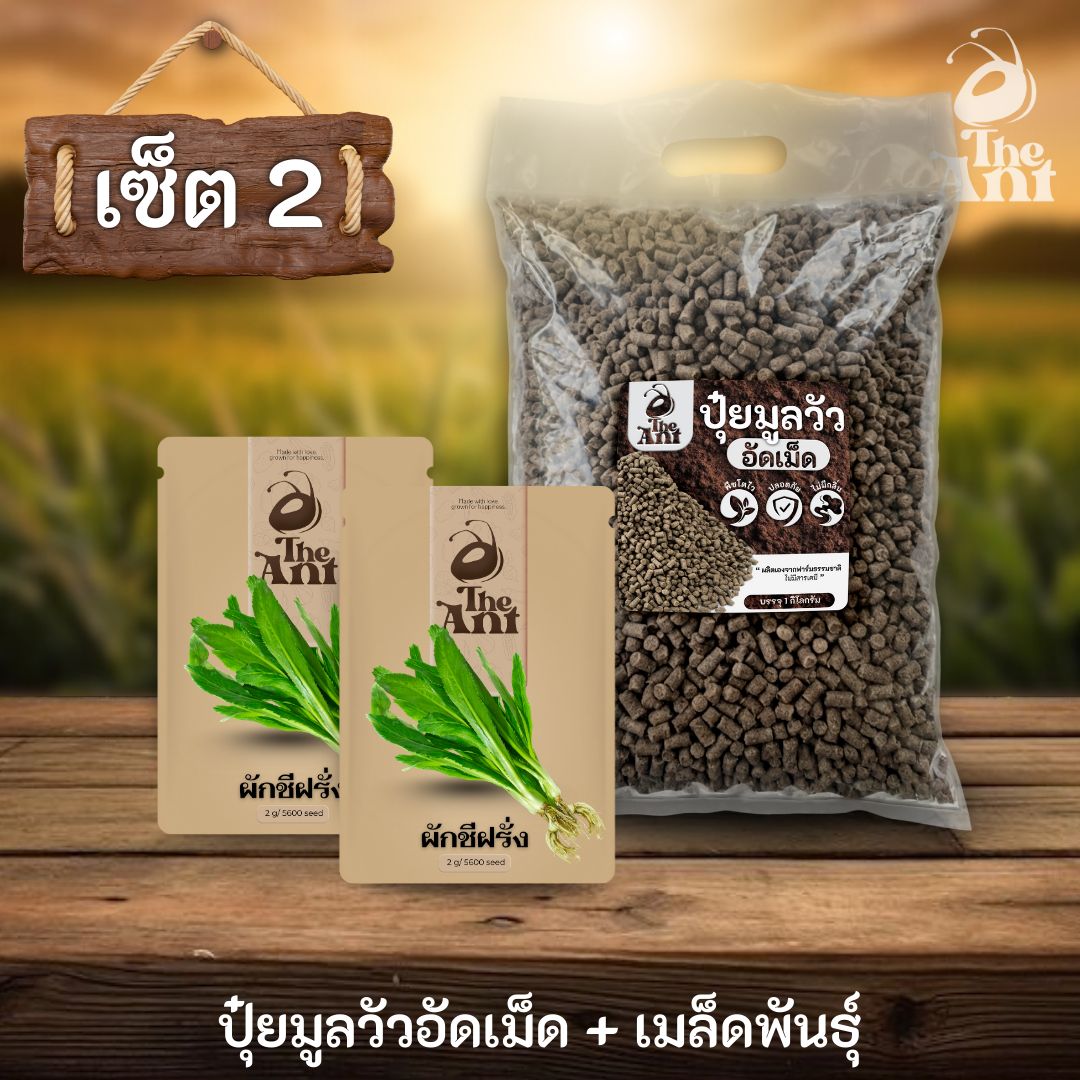 ชุดเซตปลูกผัก เมล็ดพันธุ์ผักชีฝรั่ง 2 ซอง คู่ปุ๋ยมูลวัวอัดเม็ด 1 กก. - พืชโตไว ปลอดภัย ไร้กลิ่น