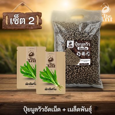 ชุดเซตปลูกผัก เมล็ดพันธุ์ผักชีฝรั่ง 2 ซอง คู่ปุ๋ยมูลวัวอัดเม็ด 1 กก. - พืชโตไว ปลอดภัย ไร้กลิ่น