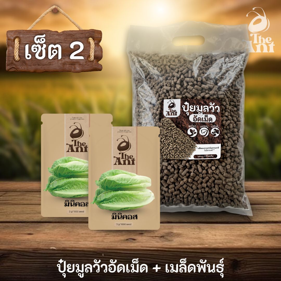 ชุดเซตปลูกผัก เมล็ดพันธุ์มินิคอส 2 ซอง คู่ปุ๋ยมูลวัวอัดเม็ด 1 กก. - พืชโตไว ปลอดภัย ไร้กลิ่น