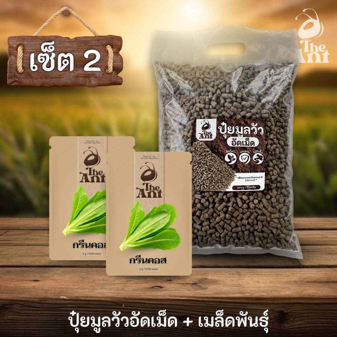 ชุดเซตปลูกผัก เมล็ดพันธุ์กรีนคอส 2 ซอง คู่ปุ๋ยมูลวัวอัดเม็ด 1 กก. - พืชโตไว ปลอดภัย ไร้กลิ่น