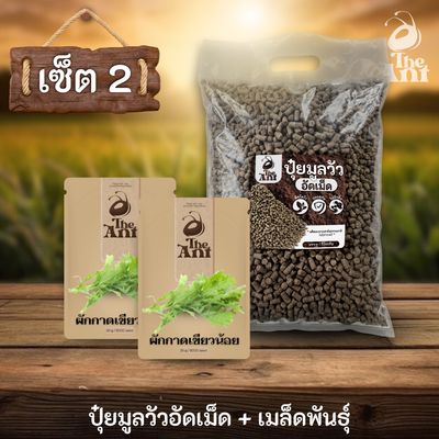 ชุดเซตปลูกผัก เมล็ดพันธุ์ผักกาดเขียวน้อย 2 ซอง คู่ปุ๋ยมูลวัวอัดเม็ด 1 กก. - พืชโตไว ปลอดภัย ไร้กลิ่น
