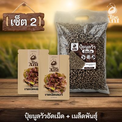 ชุดเซตปลูกผัก เมล็ดพันธุ์เรดบัตเตอร์ 2 ซอง คู่ปุ๋ยมูลวัวอัดเม็ด 1 กก. - พืชโตไว ปลอดภัย ไร้กลิ่น