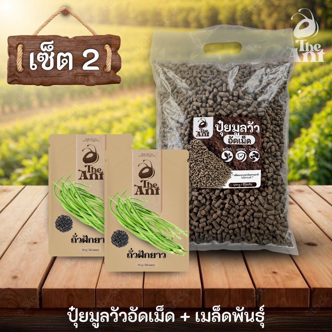 ชุดเซตปลูกผัก เมล็ดพันธุ์ถั่วฝักยาว 2 ซอง คู่ปุ๋ยมูลวัวอัดเม็ด 1 กก. - พืชโตไว ปลอดภัย ไร้กลิ่น