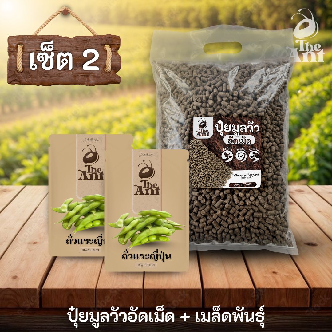 ชุดเซตปลูกผัก เมล็ดพันธุ์ถั่วแระญี่ปุ่น 2 ซอง คู่ปุ๋ยมูลวัวอัดเม็ด 1 กก. - พืชโตไว ปลอดภัย ไร้กลิ่น