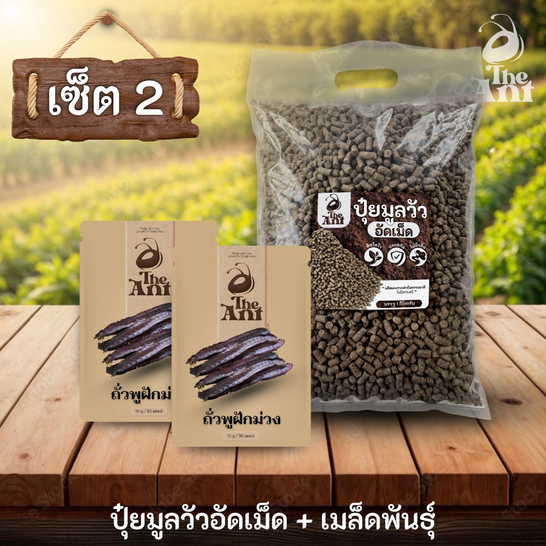 ชุดเซตปลูกผัก เมล็ดพันธุ์ถั่วพูฝักม่วง 2 ซอง คู่ปุ๋ยมูลวัวอัดเม็ด 1 กก. - พืชโตไว ปลอดภัย ไร้กลิ่น