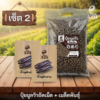 ชุดเซตปลูกผัก เมล็ดพันธุ์ถั่วพูฝักม่วง 2 ซอง คู่ปุ๋ยมูลวัวอัดเม็ด 1 กก. - พืชโตไว ปลอดภัย ไร้กลิ่น