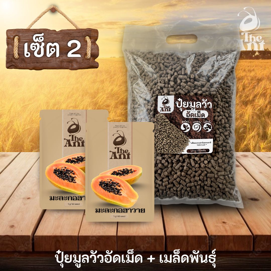 ชุดเซตปลูกผัก เมล็ดพันธุ์มะละกอฮาวาย 2 ซอง คู่ปุ๋ยมูลวัวอัดเม็ด 1 กก. - พืชโตไว ปลอดภัย ไร้กลิ่น