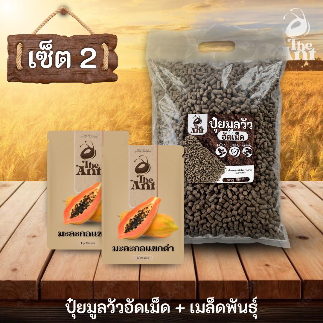 ชุดเซตปลูกผัก เมล็ดพันธุ์มะละกอแขกดำ 2 ซอง คู่ปุ๋ยมูลวัวอัดเม็ด 1 กก. - พืชโตไว ปลอดภัย ไร้กลิ่น