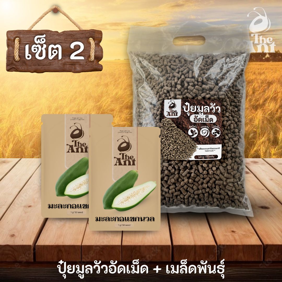ชุดเซตปลูกผัก เมล็ดพันธุ์มะละกอแขกนวล 2 ซอง คู่ปุ๋ยมูลวัวอัดเม็ด 1 กก. - พืชโตไว ปลอดภัย ไร้กลิ่น