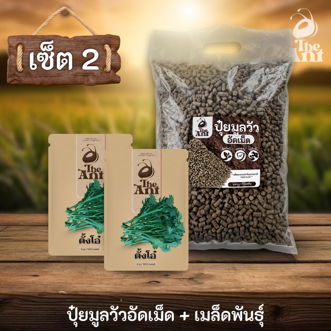 ชุดเซตปลูกผัก เมล็ดพันธุ์ตั้งโอ๋ 2 ซอง คู่ปุ๋ยมูลวัวอัดเม็ด 1 กก. - พืชโตไว ปลอดภัย ไร้กลิ่น