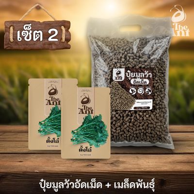 ชุดเซตปลูกผัก เมล็ดพันธุ์ตั้งโอ๋ 2 ซอง คู่ปุ๋ยมูลวัวอัดเม็ด 1 กก. - พืชโตไว ปลอดภัย ไร้กลิ่น