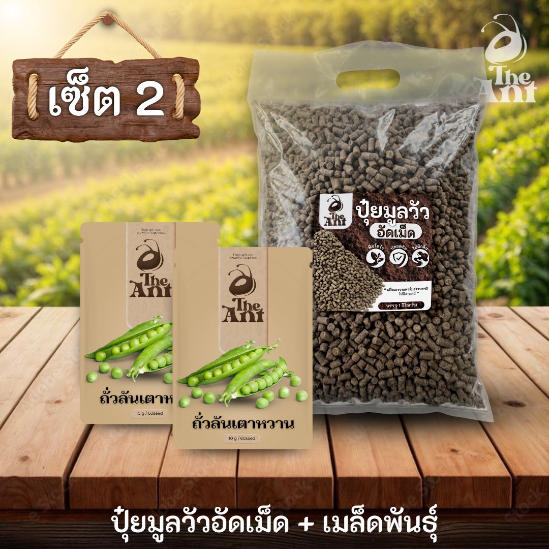 ชุดเซตปลูกผัก เมล็ดพันธุ์ถั่วลันเตาหวาน 2 ซอง คู่ปุ๋ยมูลวัวอัดเม็ด 1 กก. - พืชโตไว ปลอดภัย ไร้กลิ่น