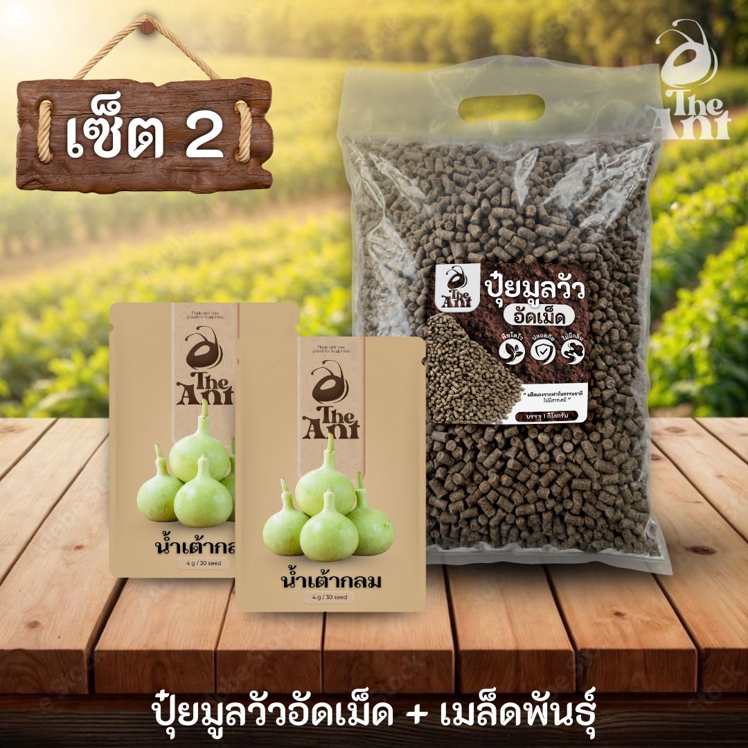 ชุดเซตปลูกผัก เมล็ดพันธุ์น้ำเต้ากลม 2 ซอง คู่ปุ๋ยมูลวัวอัดเม็ด 1 กก. - พืชโตไว ปลอดภัย ไร้กลิ่น