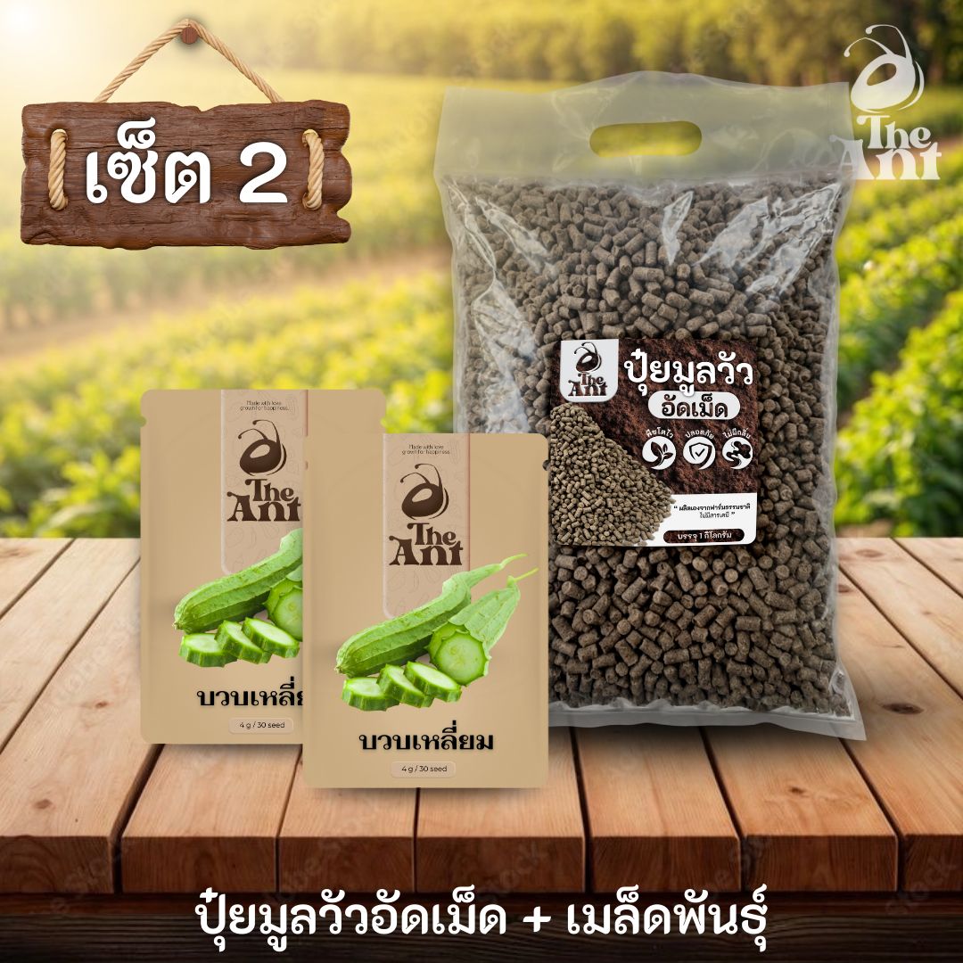 ชุดเซตปลูกผัก เมล็ดพันธุ์บวบเหลี่ยม 2 ซอง คู่ปุ๋ยมูลวัวอัดเม็ด 1 กก. - พืชโตไว ปลอดภัย ไร้กลิ่น