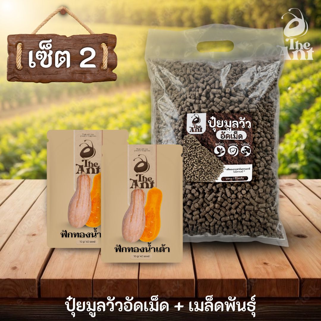 ชุดเซตปลูกผัก เมล็ดพันธุ์ฟักทองน้ำเต้า 2 ซอง คู่ปุ๋ยมูลวัวอัดเม็ด 1 กก. - พืชโตไว ปลอดภัย ไร้กลิ่น