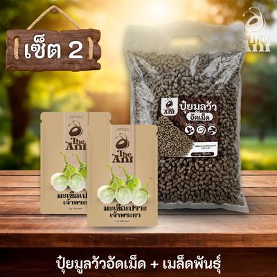 ชุดเซตปลูกผัก เมล็ดพันธุ์มะเขือเปราะเจ้าพระยา 2 ซอง คู่ปุ๋ยมูลวัวอัดเม็ด 1 กก. - พืชโตไว ปลอดภัย ไร้กลิ่น