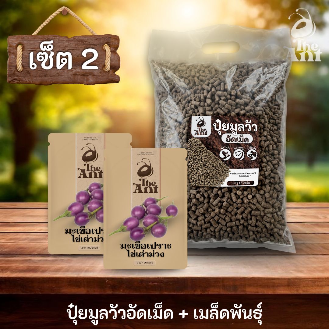 ชุดเซตปลูกผัก เมล็ดพันธุ์มะเขือเปราะไข่เต่าสีม่วง 2 ซอง คู่ปุ๋ยมูลวัวอัดเม็ด 1 กก. - พืชโตไว ปลอดภัย ไร้กลิ่น