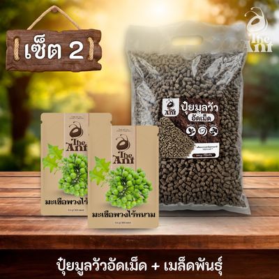 ชุดเซตปลูกผัก เมล็ดพันธุ์มะเขือพวงไร้หนาม 2 ซอง คู่ปุ๋ยมูลวัวอัดเม็ด 1 กก. - พืชโตไว ปลอดภัย ไร้กลิ่น