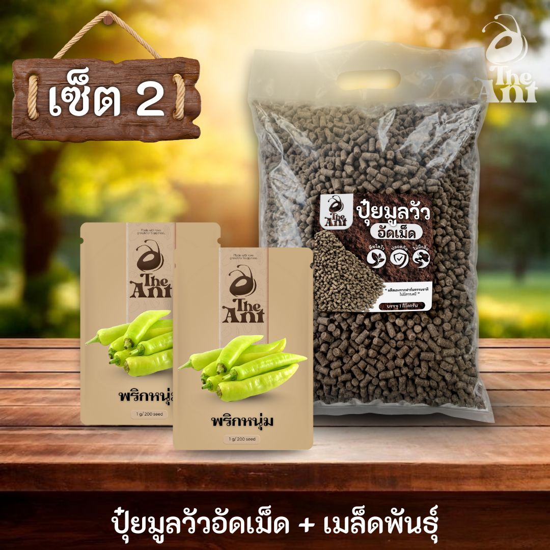 ชุดเซตปลูกผัก เมล็ดพันธุ์พริกหนุ่ม 2 ซอง คู่ปุ๋ยมูลวัวอัดเม็ด 1 กก. - พืชโตไว ปลอดภัย ไร้กลิ่น