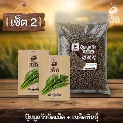 ชุดเซตปลูกผัก เมล็ดพันธุ์ผักบุ้งจีน 2 ซอง คู่ปุ๋ยมูลวัวอัดเม็ด 1 กก. - พืชโตไว ปลอดภัย ไร้กลิ่น