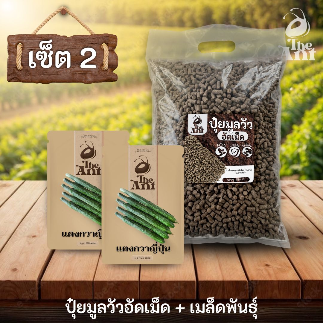 ชุดเซตปลูกผัก เมล็ดพันธุ์แตงกวาญี่ปุ่น 2 ซอง คู่ปุ๋ยมูลวัวอัดเม็ด 1 กก. - พืชโตไว ปลอดภัย ไร้กลิ่น