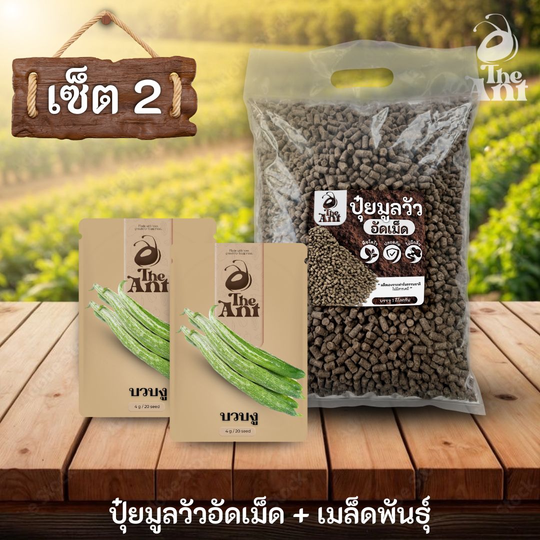 ชุดเซตปลูกผัก เมล็ดพันธุ์บวบงู 2 ซอง คู่ปุ๋ยมูลวัวอัดเม็ด 1 กก. - พืชโตไว ปลอดภัย ไร้กลิ่น