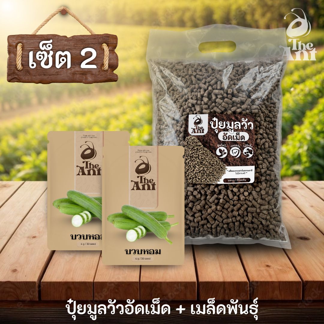 ชุดเซตปลูกผัก เมล็ดพันธุ์บวบหอม 2 ซอง คู่ปุ๋ยมูลวัวอัดเม็ด 1 กก. - พืชโตไว ปลอดภัย ไร้กลิ่น