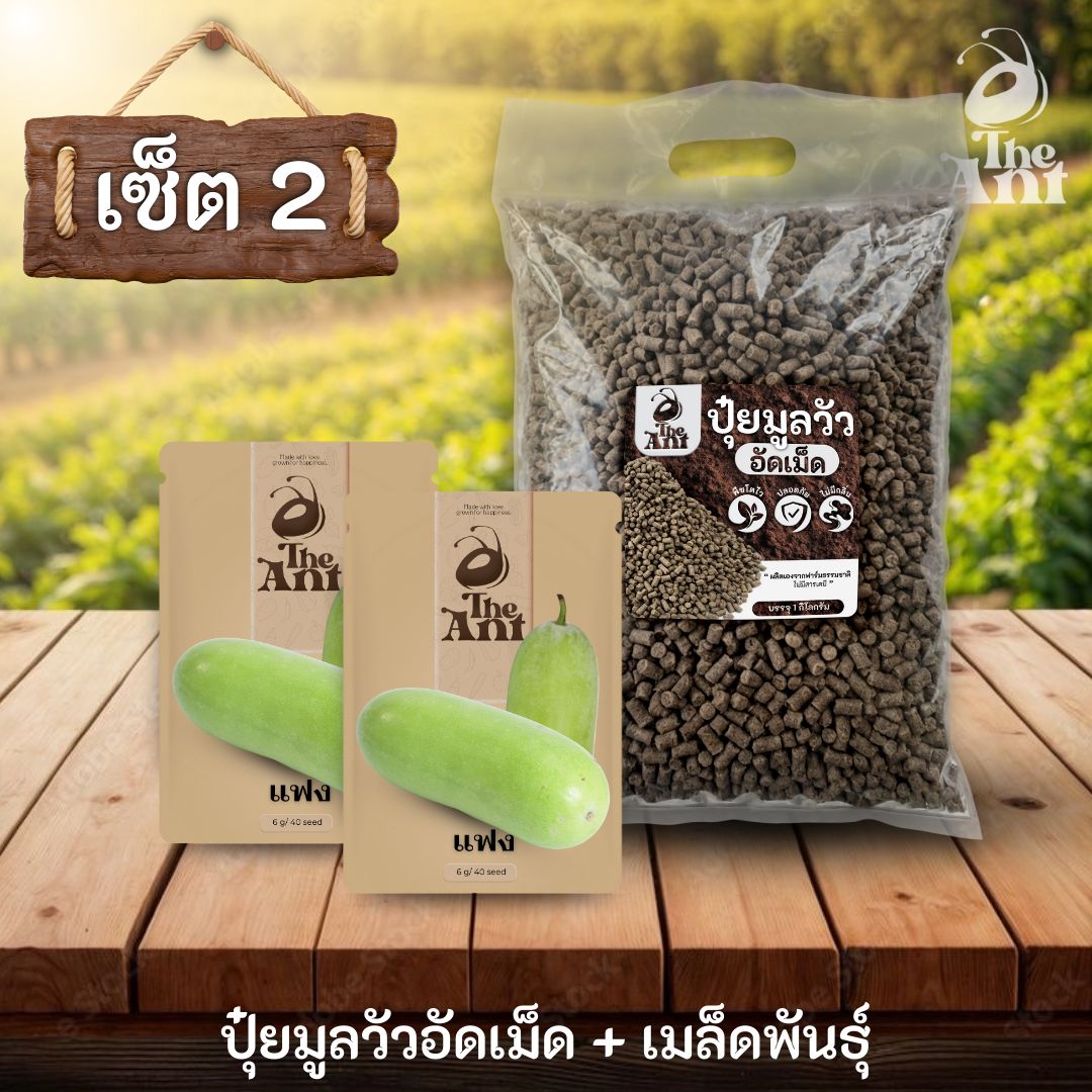 ชุดเซตปลูกผัก เมล็ดพันธุ์แฟง 2 ซอง คู่ปุ๋ยมูลวัวอัดเม็ด 1 กก. - พืชโตไว ปลอดภัย ไร้กลิ่น