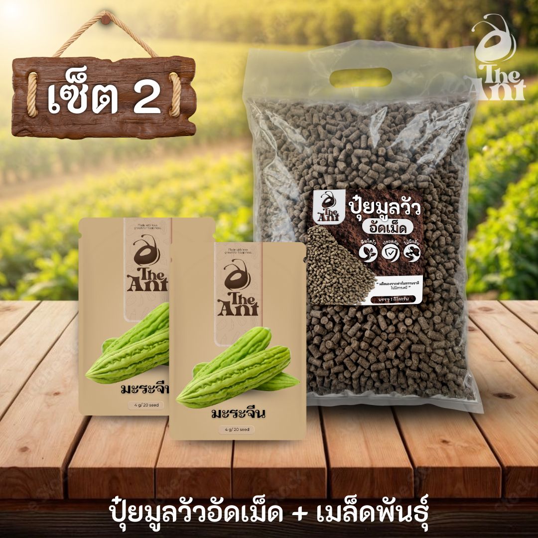 ชุดเซตปลูกผัก เมล็ดพันธุ์มะระจีน 2 ซอง คู่ปุ๋ยมูลวัวอัดเม็ด 1 กก. - พืชโตไว ปลอดภัย ไร้กลิ่น