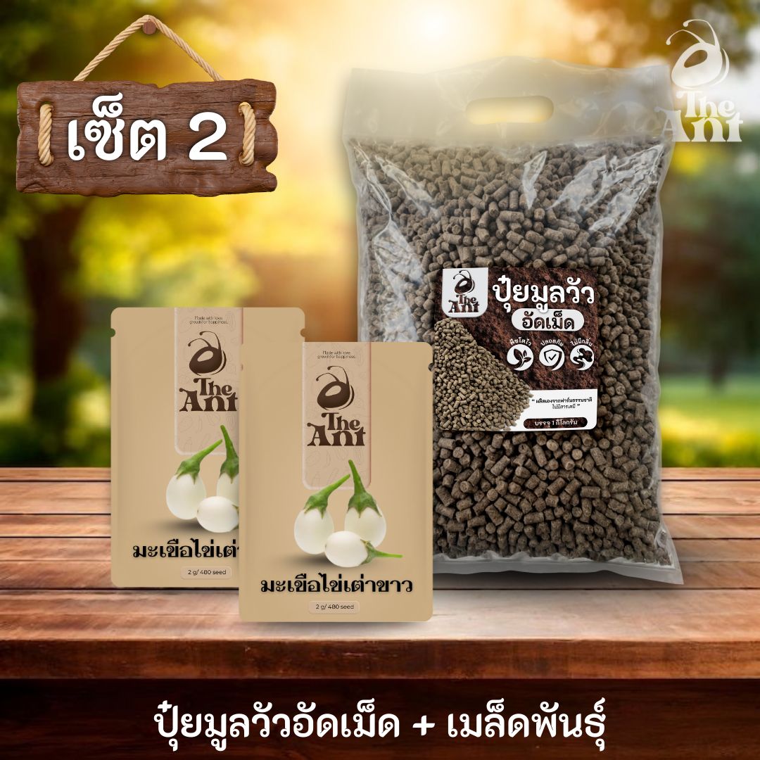ชุดเซตปลูกผัก เมล็ดพันธุ์มะเขือไข่เต่าขาว 2 ซอง คู่ปุ๋ยมูลวัวอัดเม็ด 1 กก. - พืชโตไว ปลอดภัย ไร้กลิ่น