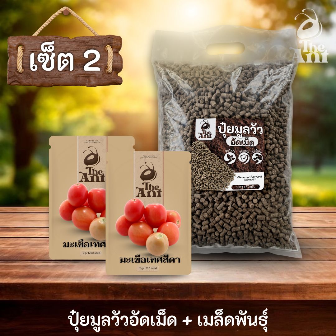 ชุดเซตปลูกผัก เมล็ดพันธุ์มะเขือเทศสีดา 2 ซอง คู่ปุ๋ยมูลวัวอัดเม็ด 1 กก. - พืชโตไว ปลอดภัย ไร้กลิ่น