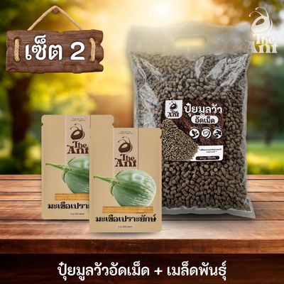 ชุดเซตปลูกผัก เมล็ดพันธุ์มะเขือเปราะยักษ์ 2 ซอง คู่ปุ๋ยมูลวัวอัดเม็ด 1 กก. - พืชโตไว ปลอดภัย ไร้กลิ่น