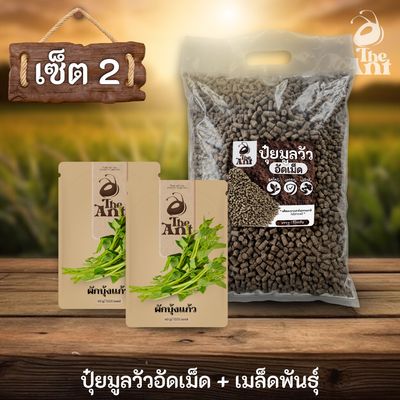 ชุดเซตปลูกผัก เมล็ดพันธุ์ผักบุ้งแก้ว 2 ซอง คู่ปุ๋ยมูลวัวอัดเม็ด 1 กก. - พืชโตไว ปลอดภัย ไร้กลิ่น